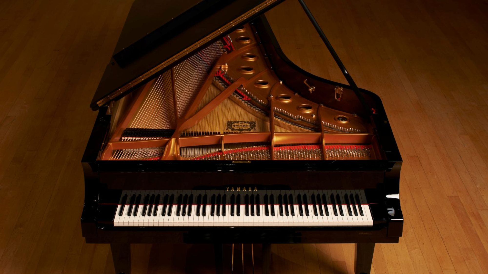 Open grand piano at Bright Keys Piano Studio